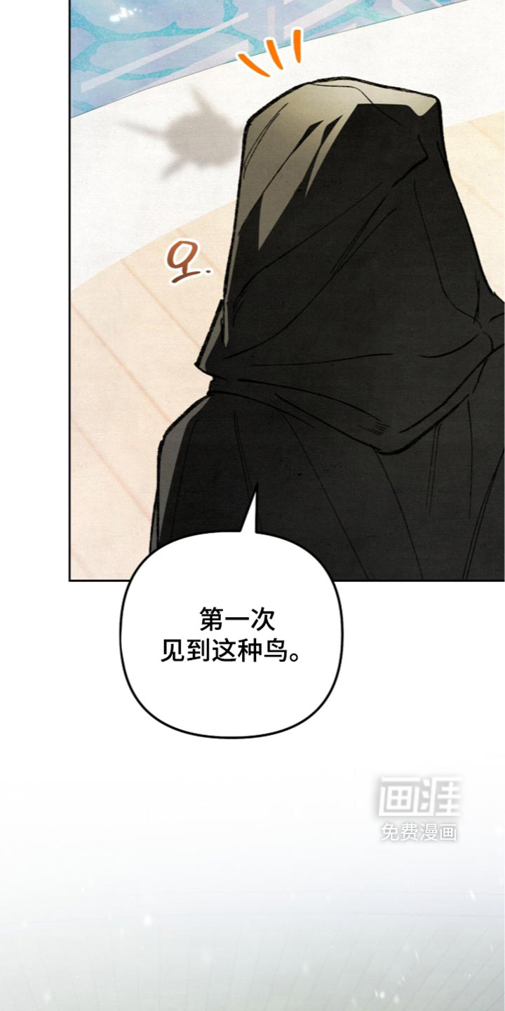 第39话5