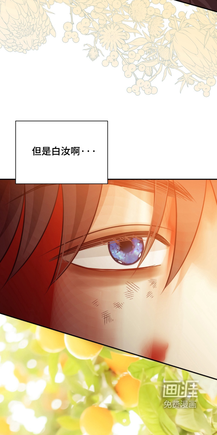 第241话16