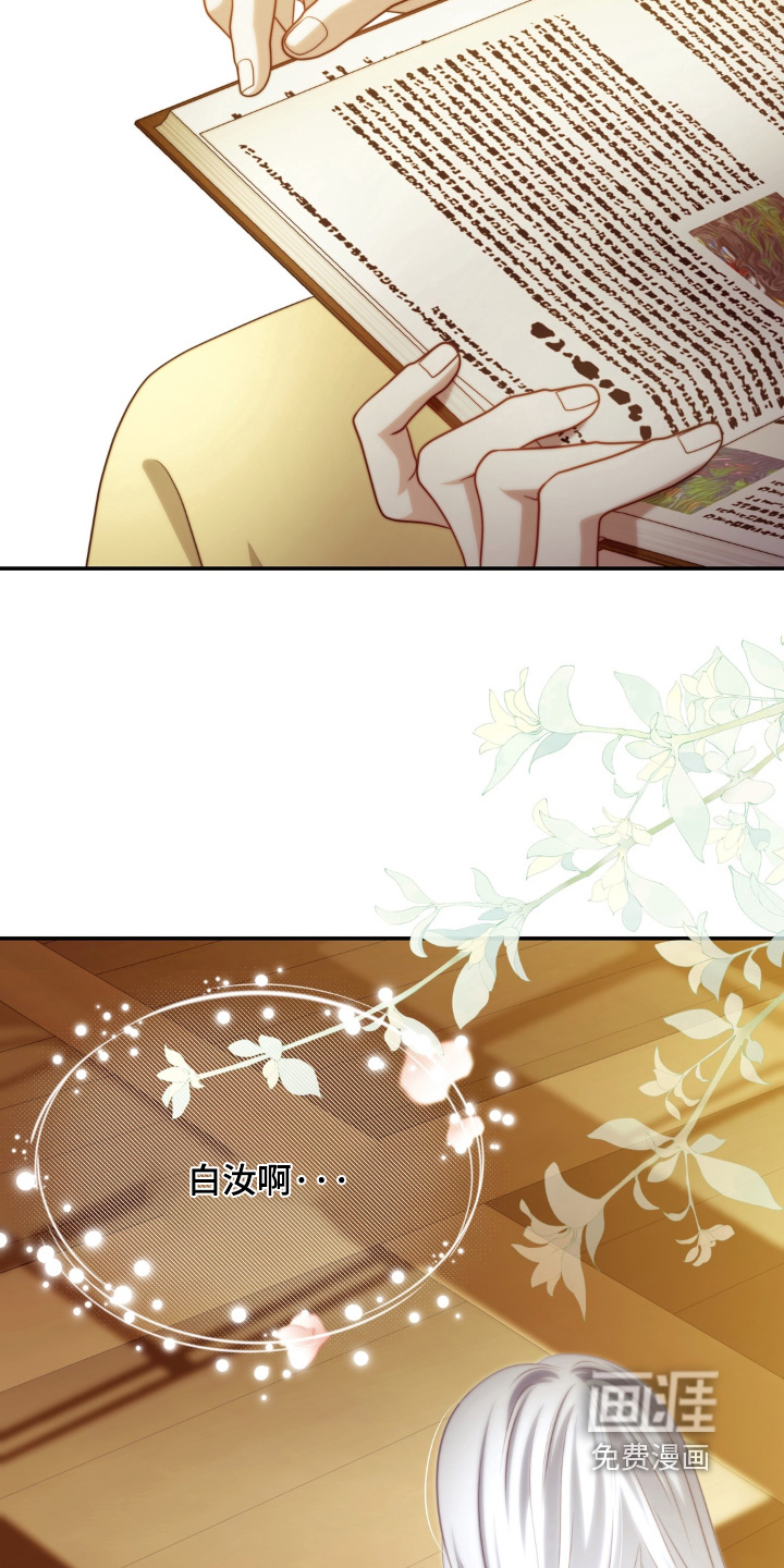 第240话19