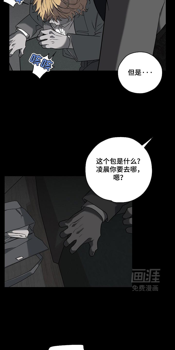 第117话4
