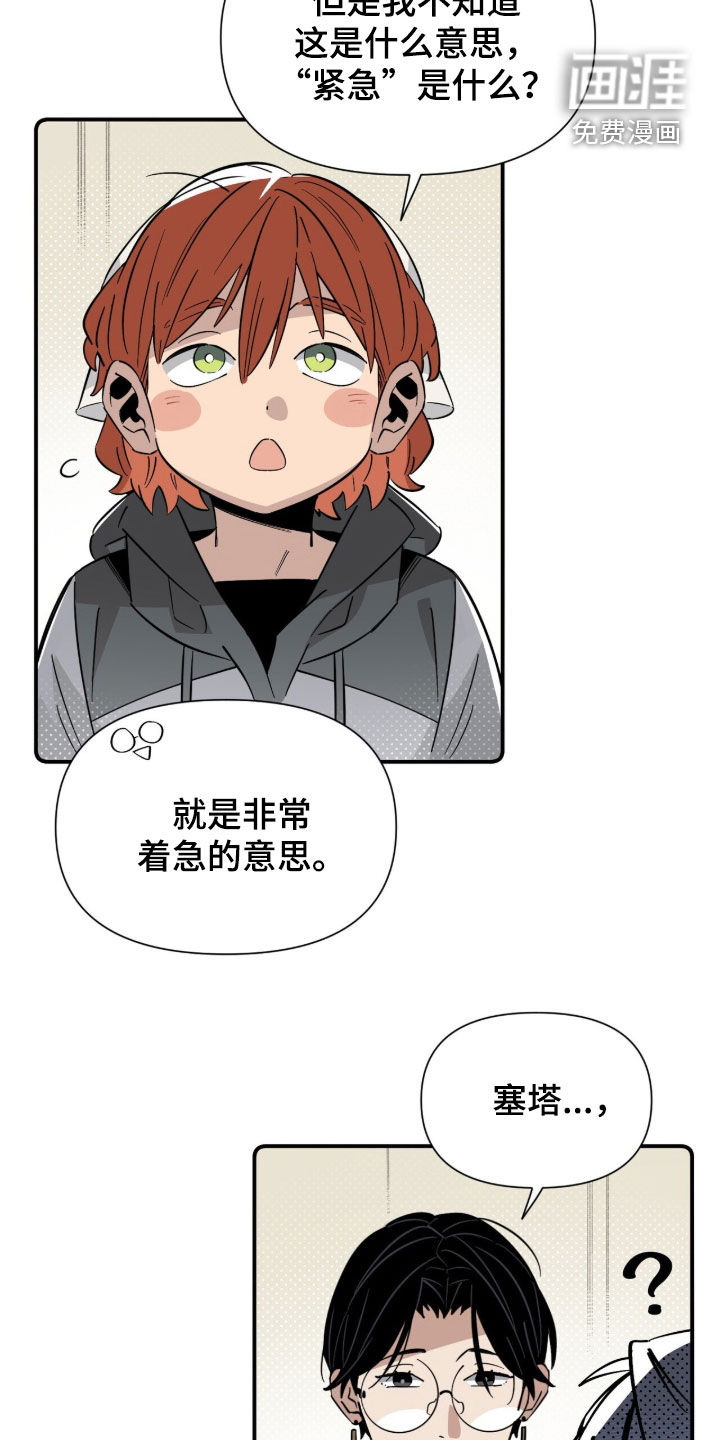 第34话 第13页