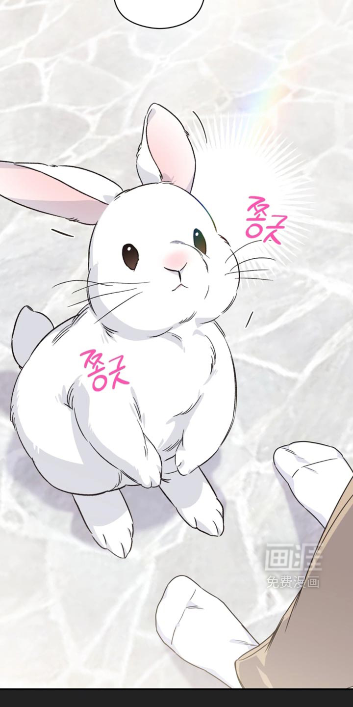 第100话21