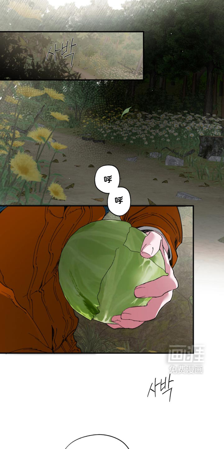 第33话17
