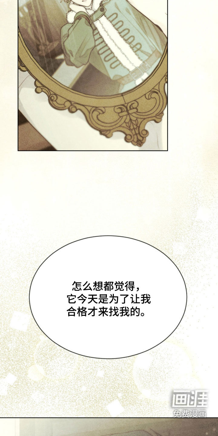 第62话 第11页