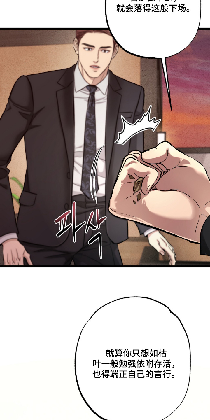 第56话 第3页