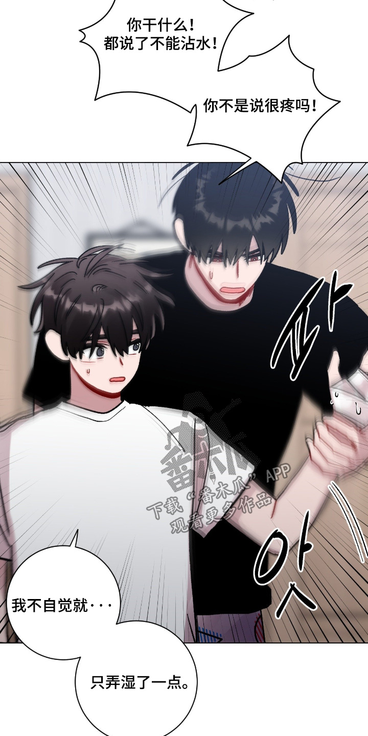 第208话17