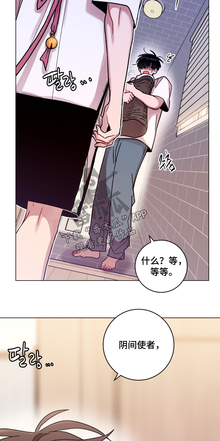 第204话10