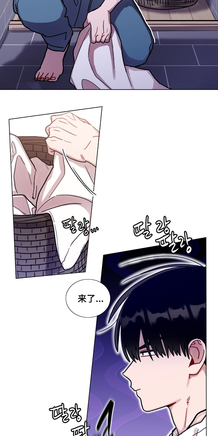 第204话3