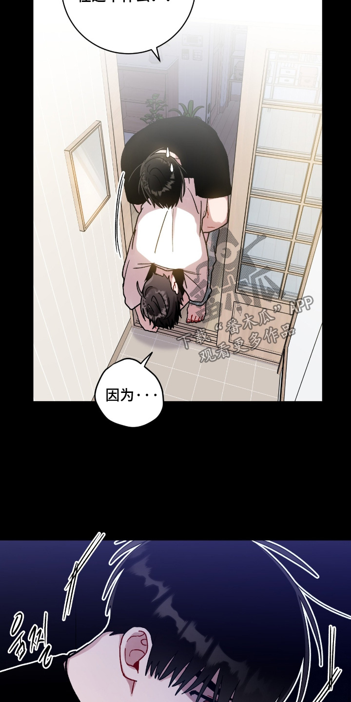 第203话12