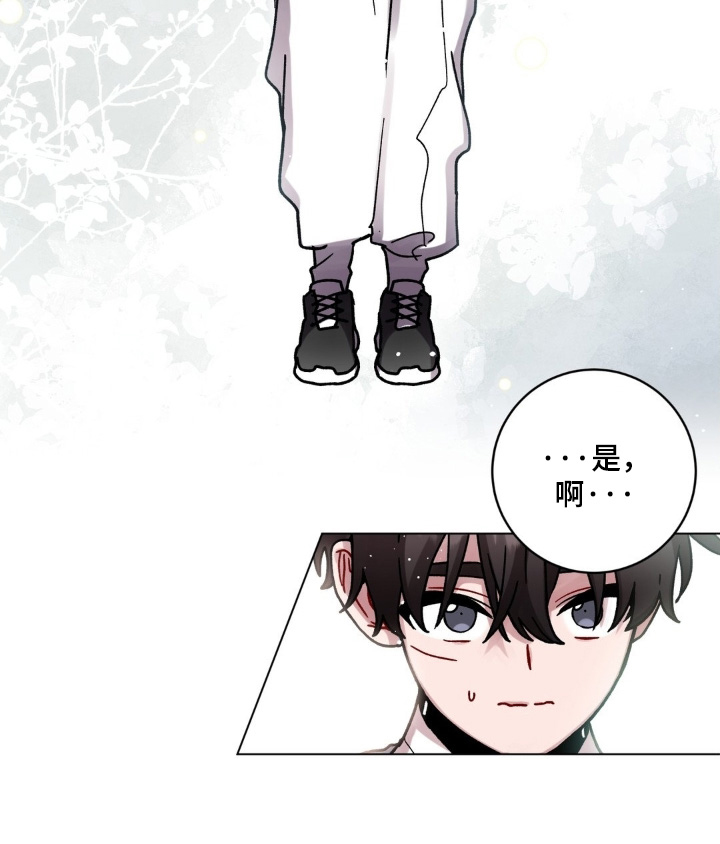 第190话24