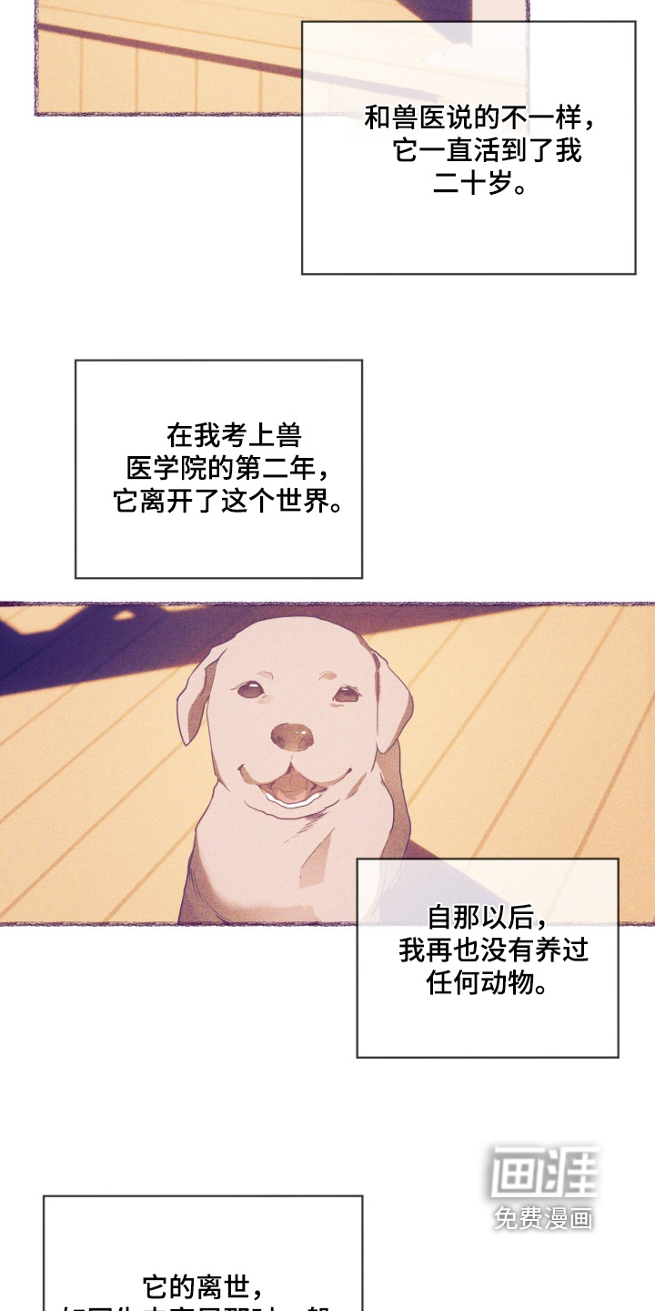 第54话 第22页