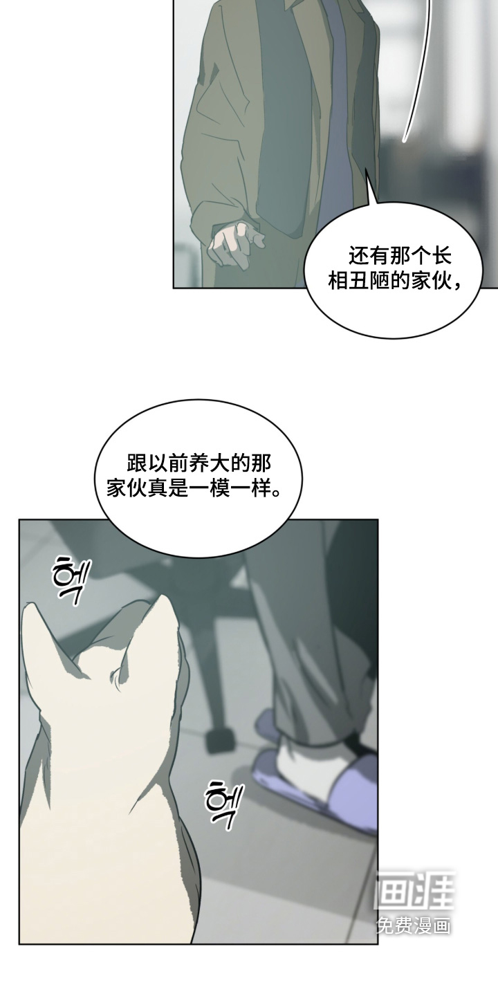 第54话 第17页