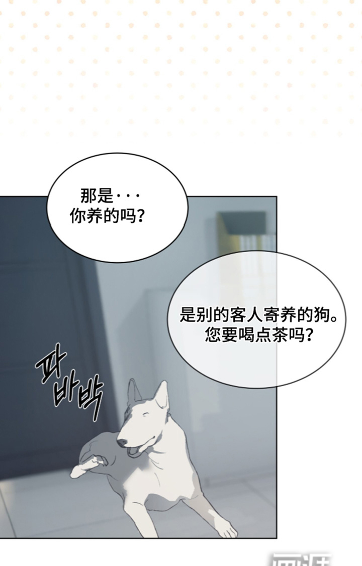 第53话 第17页