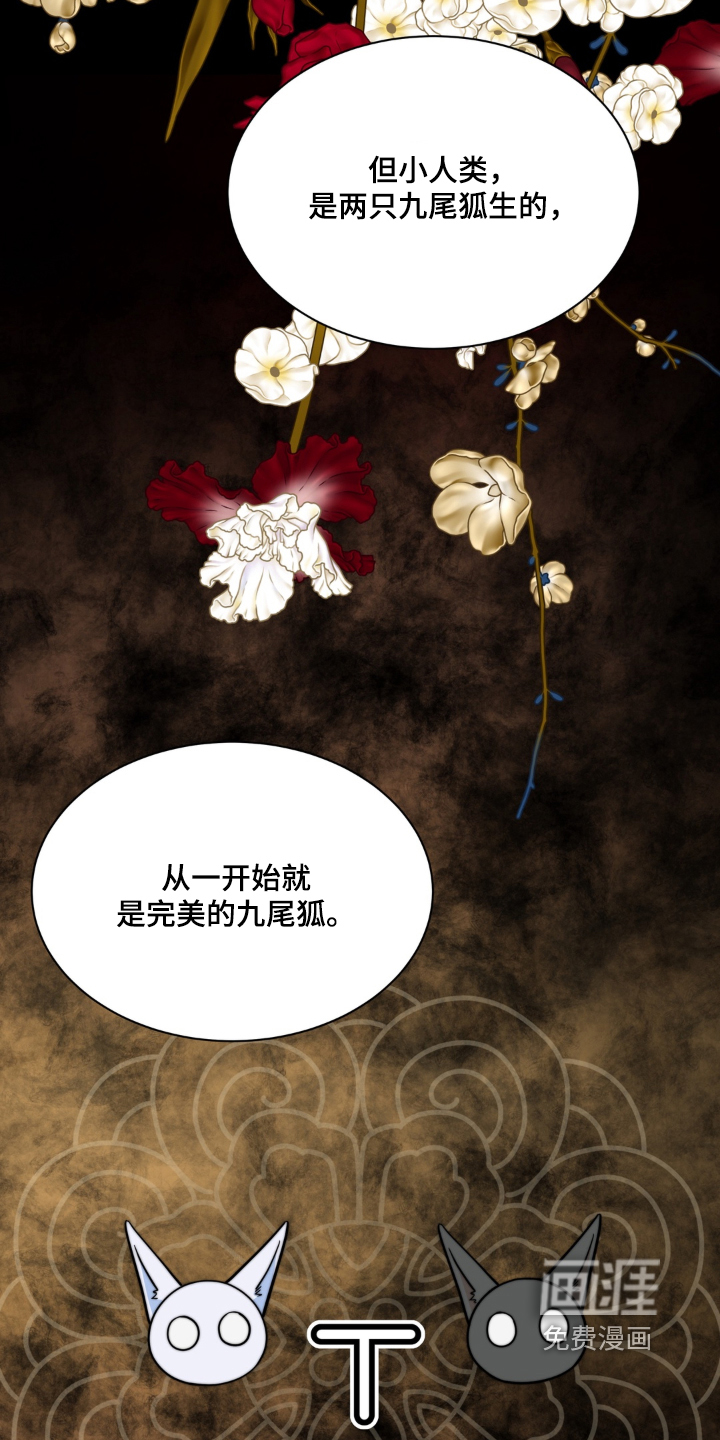 第244话23